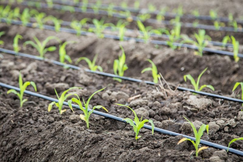 Underground Irrigation Service in Ventura County, CA