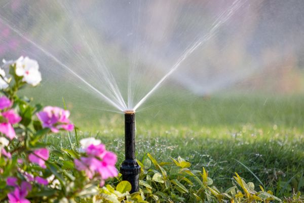 Drip Irrigation Installation