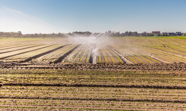 Field Irrigation Installation