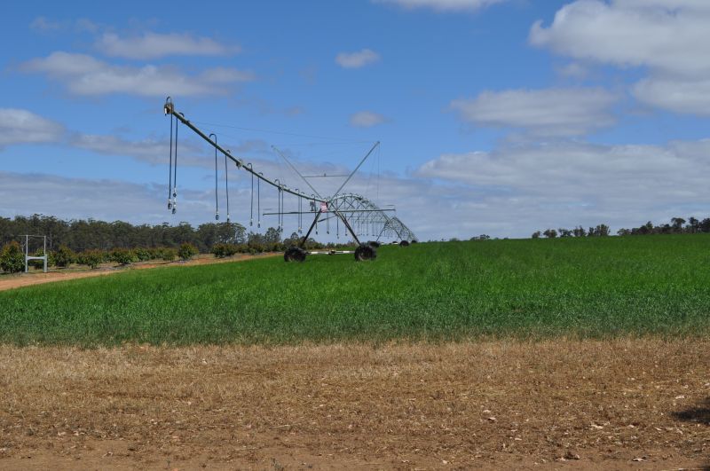 Commercial Irrigation Service in Ventura County, CA