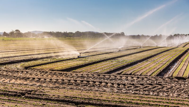 Crop Irrigation Installation in Aiken, SC