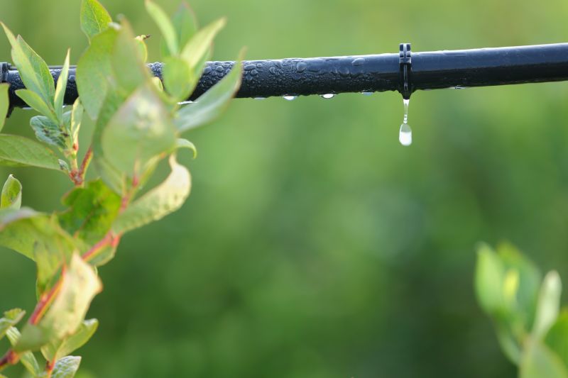 Drip Irrigation Installation in Aiken, SC
