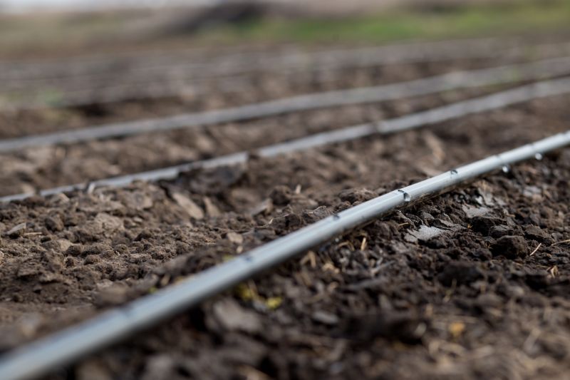 Drip Irrigation Installation in Honolulu, HI