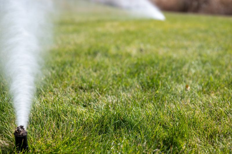 Irrigation Winterization in Reno, NV