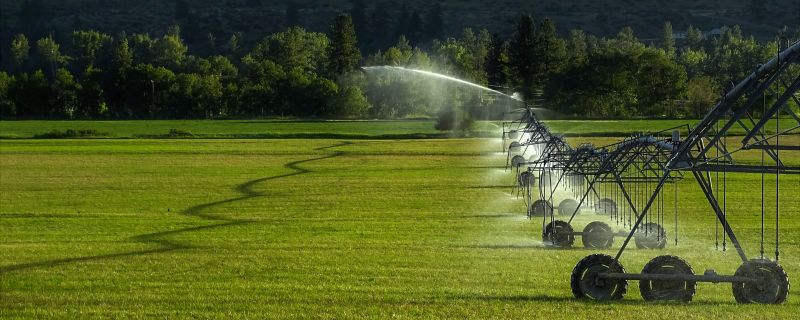 Mist Irrigation Installation in Ventura County, CA