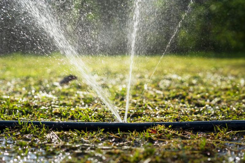 Sprinkler System Optimization in Aiken, SC