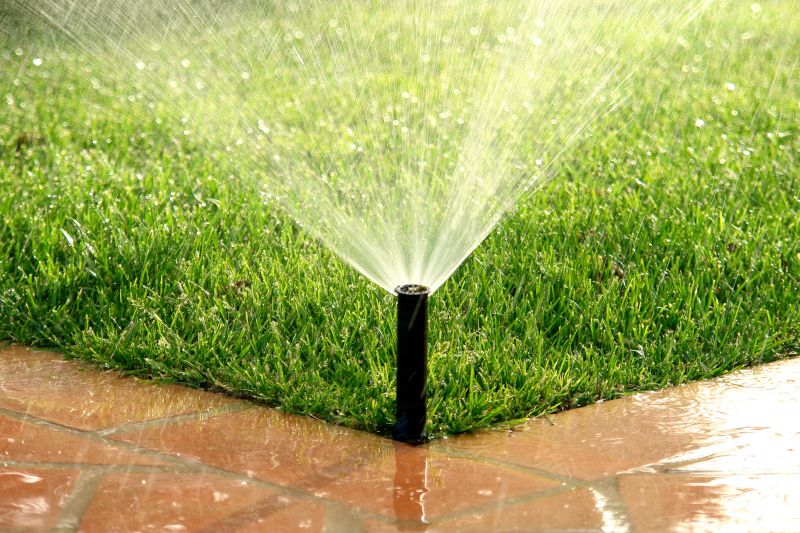 Sprinkler Winterization in Carson City, NV