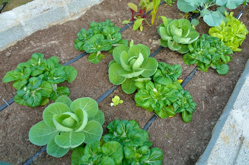 Underground Irrigation Service in Aiken, SC