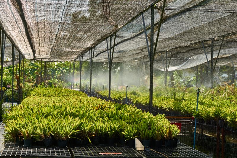 Watering System Installation