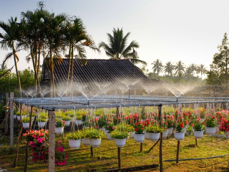 Watering System Installation