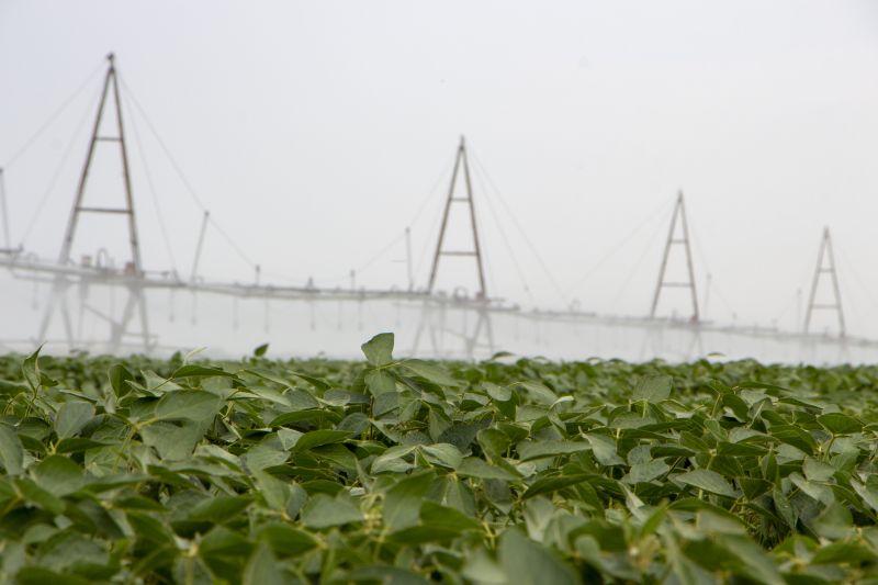 Watering System Installation